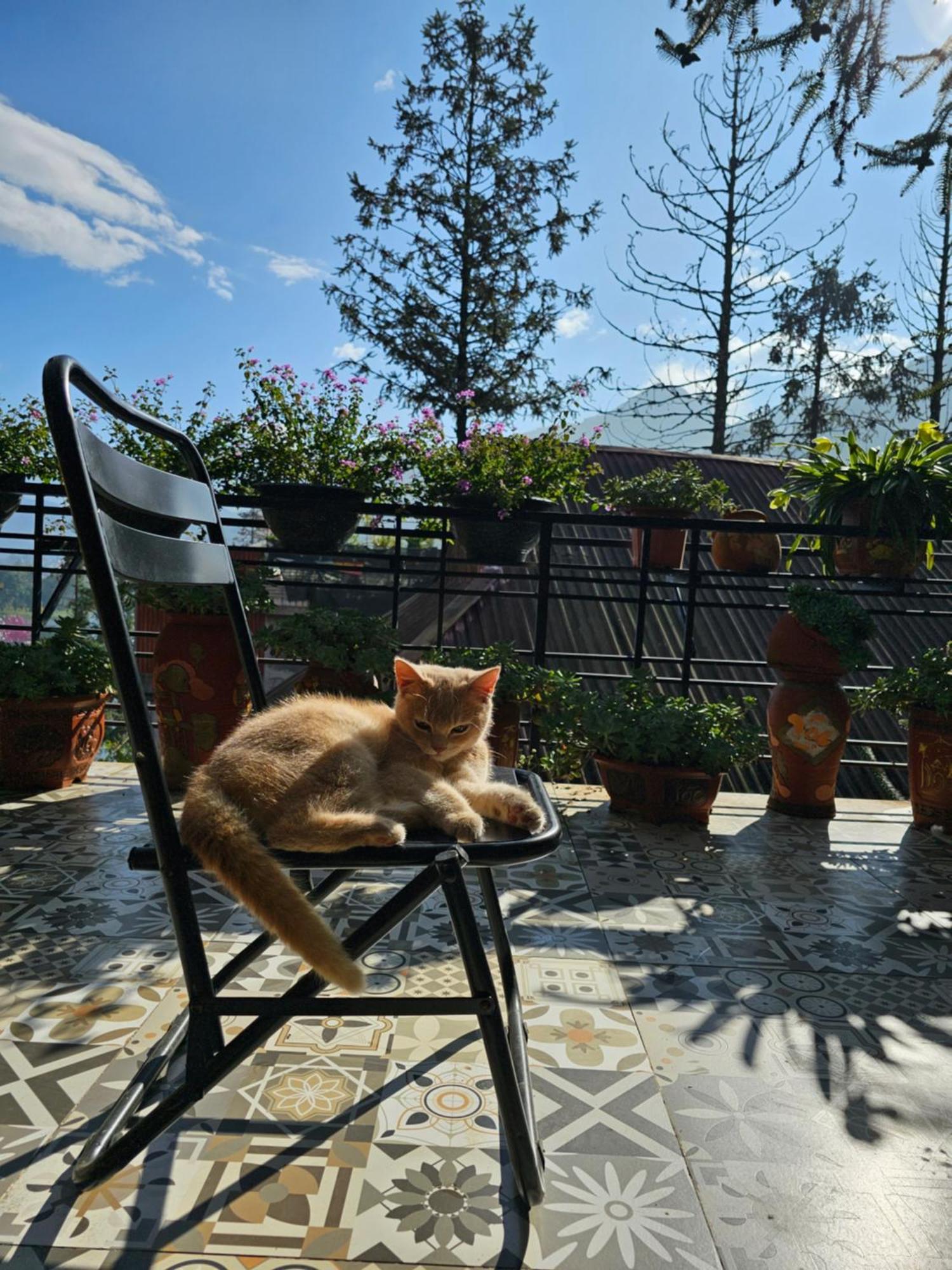 Dang Khoa Garden Inn Homestay Sapa Exteriör bild