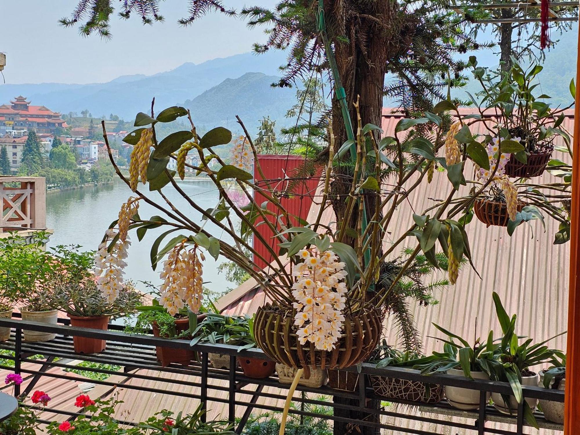 Dang Khoa Garden Inn Homestay Sapa Exteriör bild