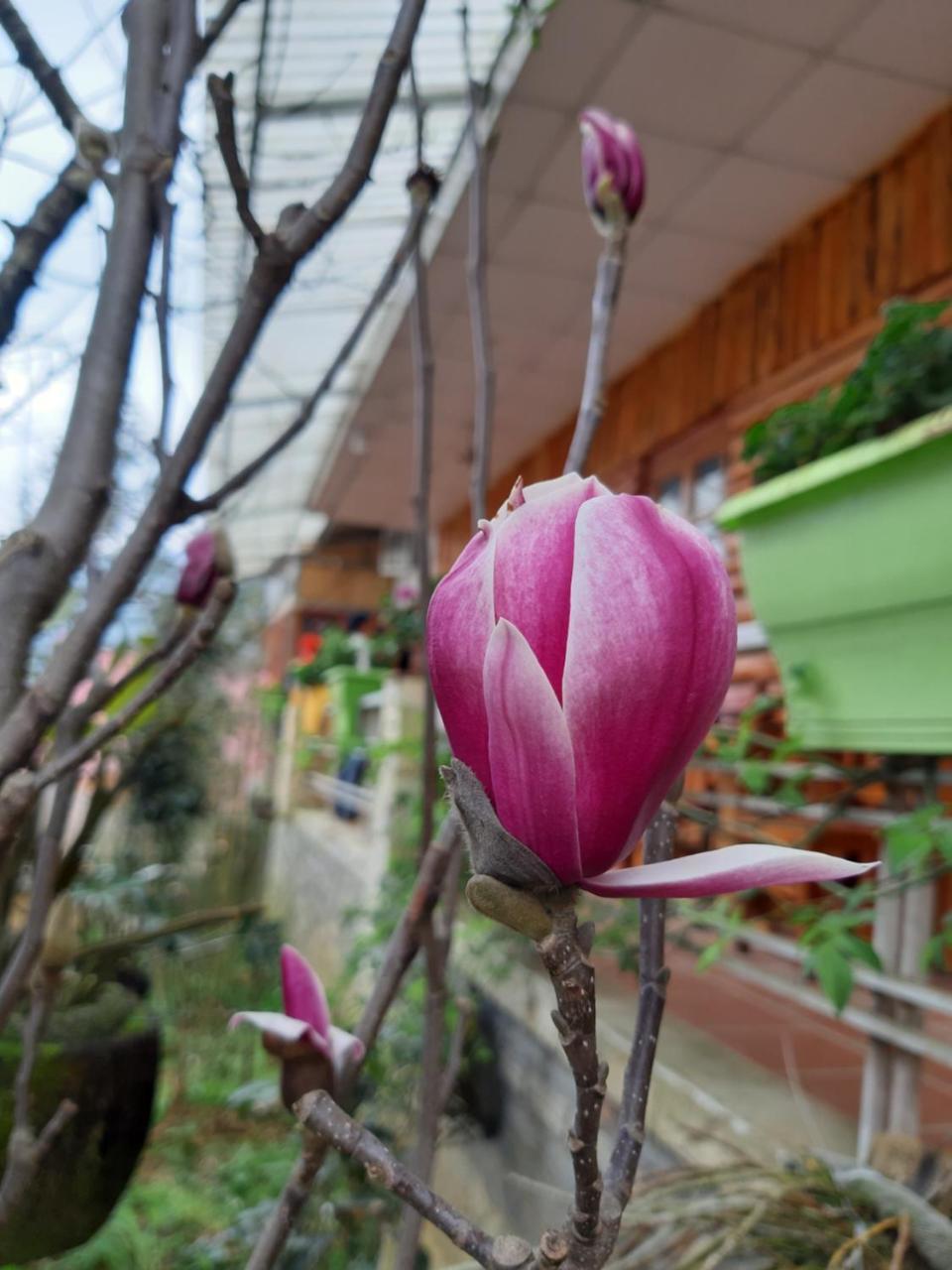 Dang Khoa Garden Inn Homestay Sapa Exteriör bild